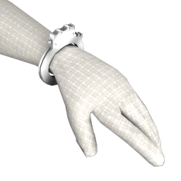 Prysm Jailbird Bracelet