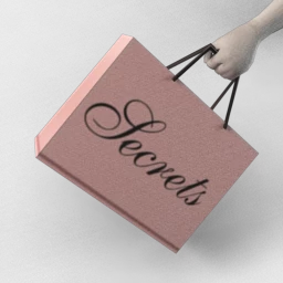 Secrets Shopping Bag