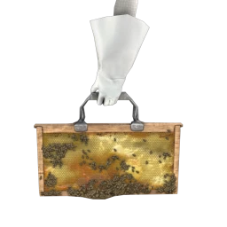 SHFTR Fresh Honeycomb