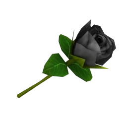 Black Rose