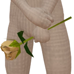 Ikon Elite Gold Rose