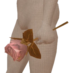 La Haute Couture Soft Pink & Gold Rose