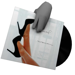 NMS Joy Frost Vinyl Album