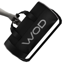 World of Dance Sports Bag