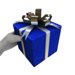 Christmas Gift - Blue