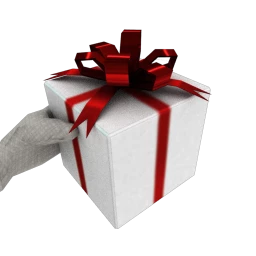 Christmas Gift - White