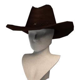 Cosmos Wild West Wanderer Hat