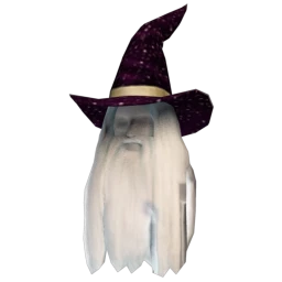Cosmos Wizard Hat and Beard