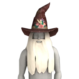 Cosmos Nature Wizard Hat