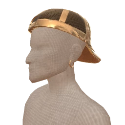 Ikon Elite Gold Backwards Cap