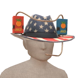 USAesthetics Cowboy Drinking Juice Box Hat