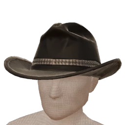 USAesthetics Black Bling Cowboy Hat