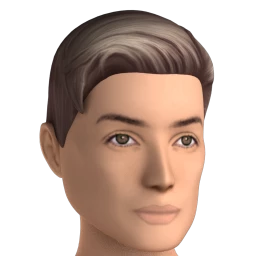 Rectangle Head Shape