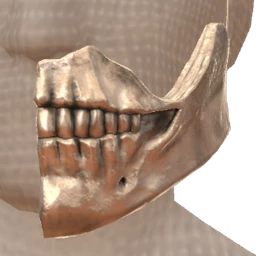 Cosmos Metallic Skull Mask