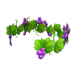 Cosmos Grape Vine Crown