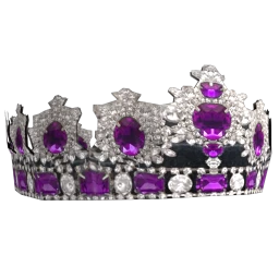 Fashion King Amethyst Crown