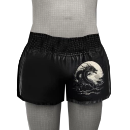 Drop Science Dragon Spirit Boxing Shorts