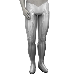 Cosmos Justice Trousers