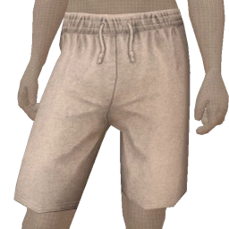 Drop Science Grey Track Shorts