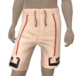 Drop Science Challenger Shorts