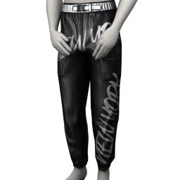 Drop Science "View York" Trousers