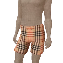 Drop Science Check-Print Pattern Shorts