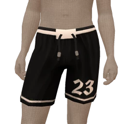 Drop Science Basketball Shorts 23
