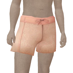 Cloud Nine Leather And Lace Shorts