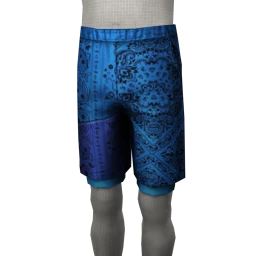 Prevail Vision Shorts