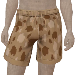 USAesthetics Rancher Shorts