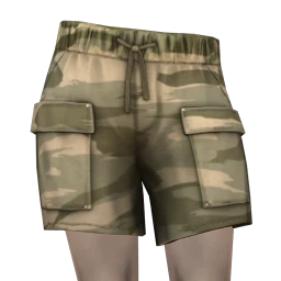 US Aesthetics Camo Cargo Shorts
