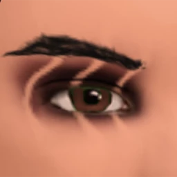 Flawless Hunting Tiger Eye Shadow