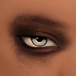 Flawless Deep Shadow Eyes