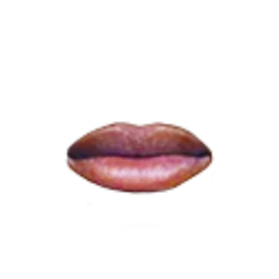 Flawless Soft Kiss Lips