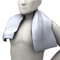 Bionic Sports Towel