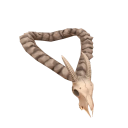 Cosmos Capricorn Pendant