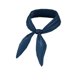 Front Row Count Neck Scarf (Blue)