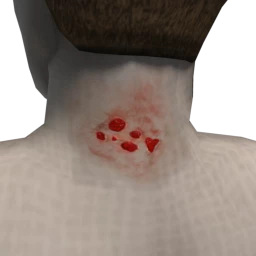 Cosmos Zombie Wounds - Sores