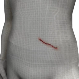 Cosmos Zombie Wounds - Stitches