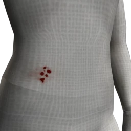 Cosmos Zombie Wounds - Sores