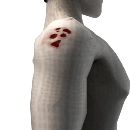 Cosmos Zombie Wounds - Sores