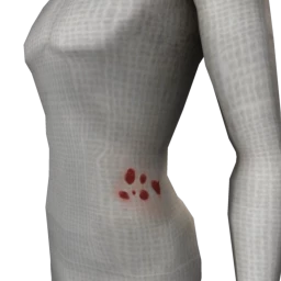 Cosmos Zombie Wounds - Sores