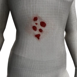 Cosmos Zombie Wounds - Sores