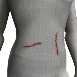 Cosmos Zombie Wounds - Stitches