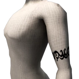 Strength Tribal Band