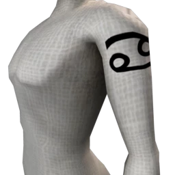 Zodiac Cancer Tattoo