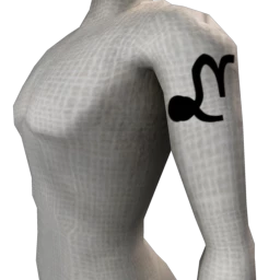 Zodiac Capricorn Tattoo