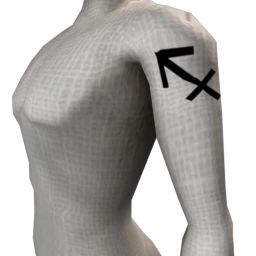 Zodiac Sagittarius Tattoo