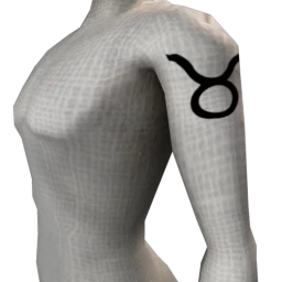 Zodiac Taurus Tattoo