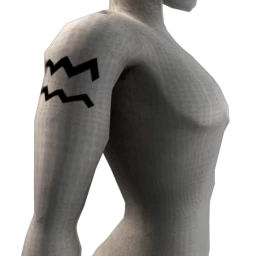 Zodiac Aquarius Tattoo